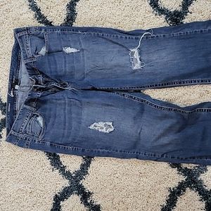 Lane Bryant Plus Jeans 22w